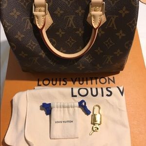 The Speedy 25 Louis Vuitton purse